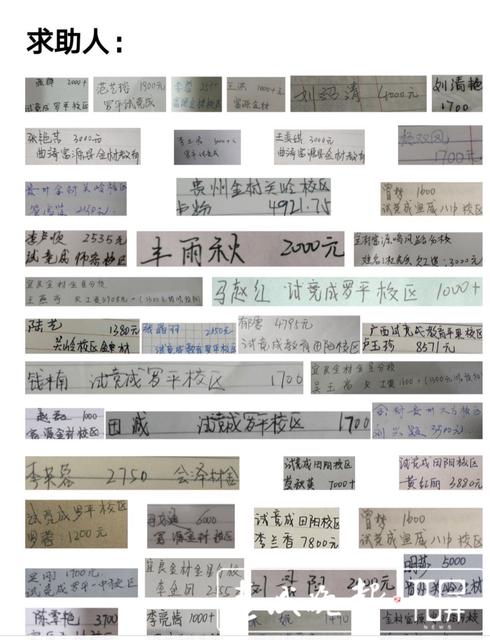 云南一教育机构全省多个校区欠薪
