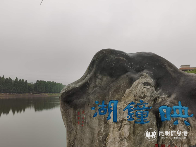 图片1