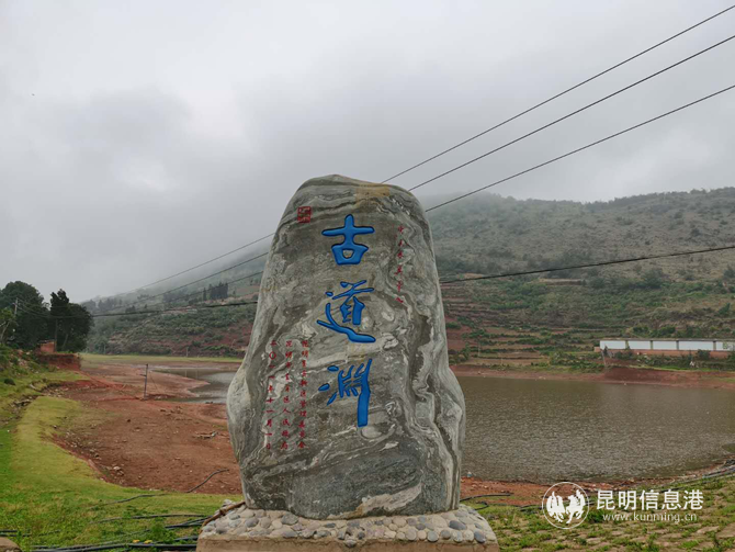 图片2