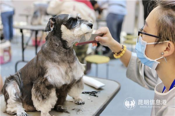 比赛现场