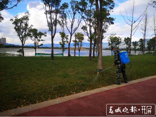 红火蚁入侵！保山青华海打响灭蚁保卫战
