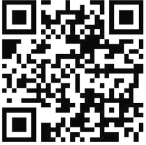 97551603386500290