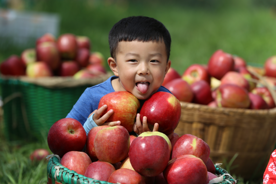 图片14.png