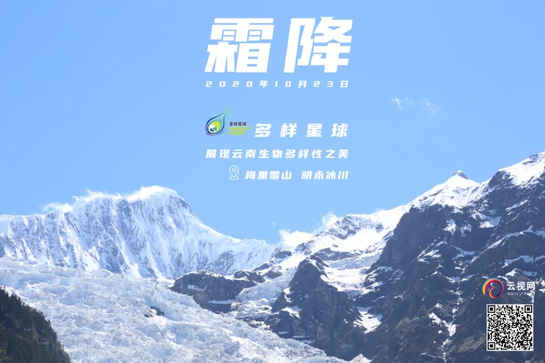 微信图片_20201023091711.jpg