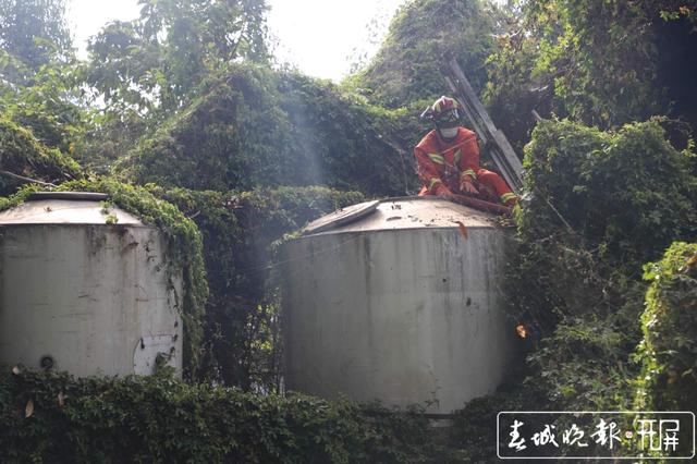 猪场停水两天，消防员给750头“二师兄”送水解渴 (1).jpg