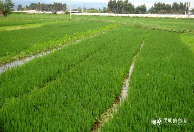 微信图片_20201028141806 微信图片_20201028141806