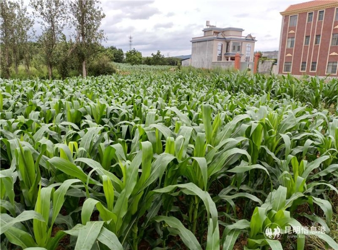 微信图片_20201028141814 微信图片_20201028141814