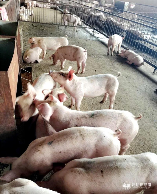 微信图片_20201028141820 微信图片_20201028141820