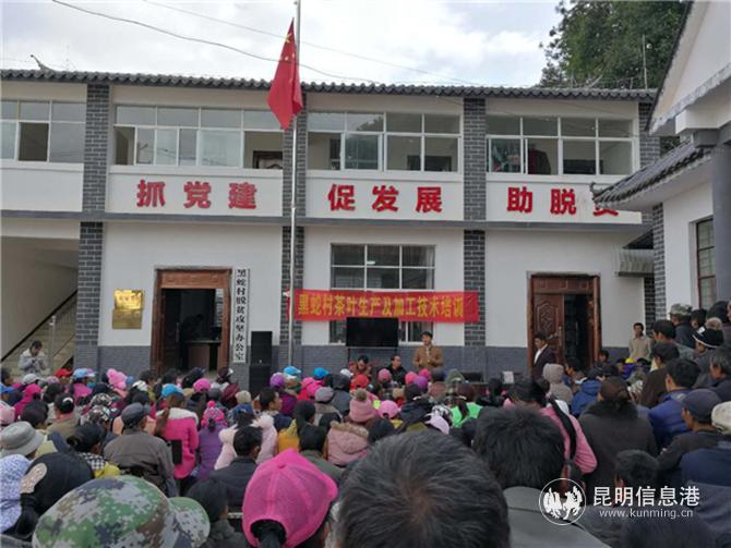 4、学校邀请茶产业开展培训会