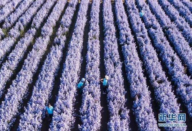 1126693589_16044022870751n 1126693589_16044022870751n