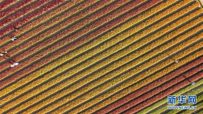 1126693589_16044022870421n 1126693589_16044022870421n