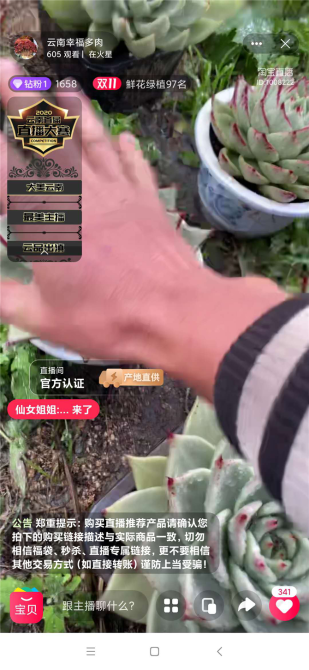 带货主播直播截图