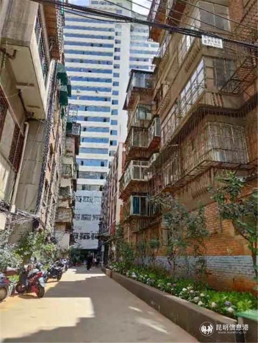 微信图片_202011101630012 微信图片_202011101630012