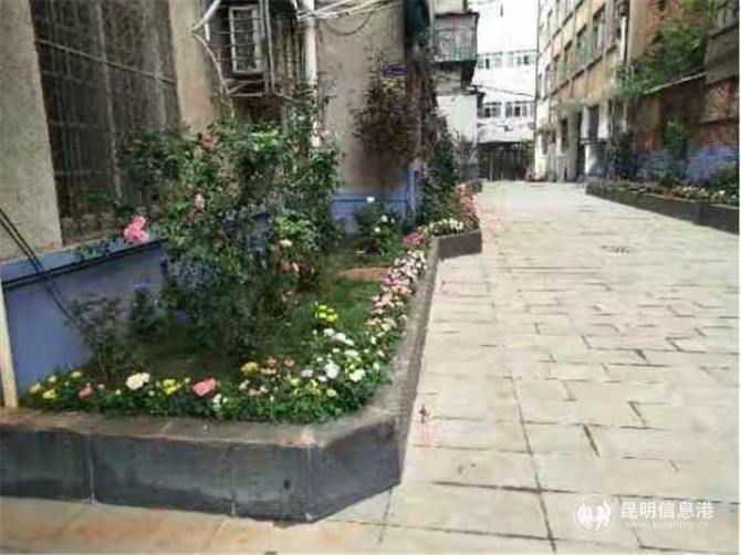 微信图片_202011101630013 微信图片_202011101630013