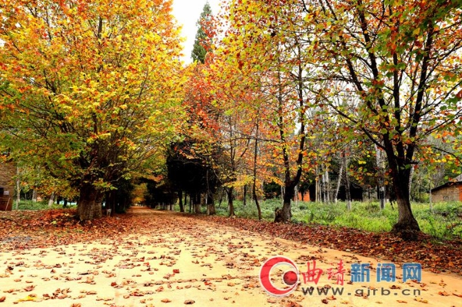 8bdc7373-503b-4966-a018-5e3d62e81ce3_batchwm