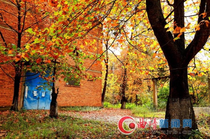 39039bc8-d05e-4ad7-8cf4-b01f1d921baa_batchwm