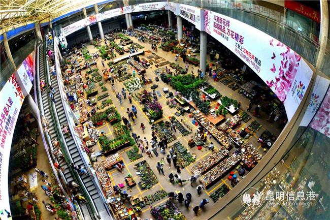 2 斗南花市.杨金海 摄