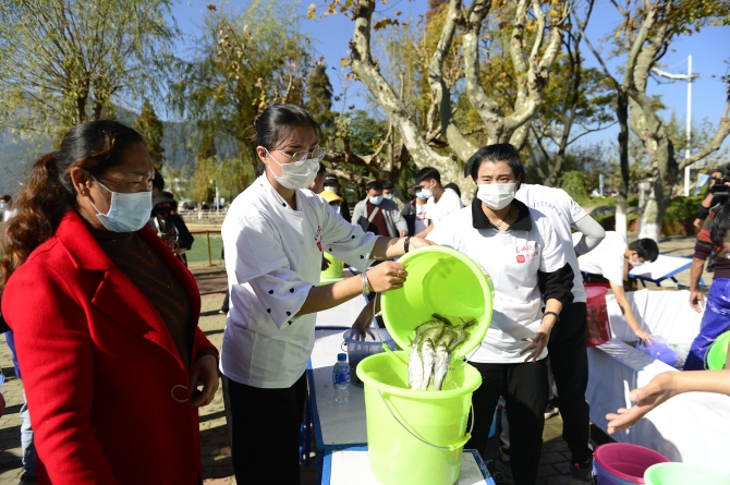 IMG_0951.JPG IMG_0951.JPG