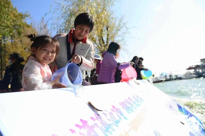 IMG_0950(20201121-142645).JPG IMG_0950(20201121-142645).JPG