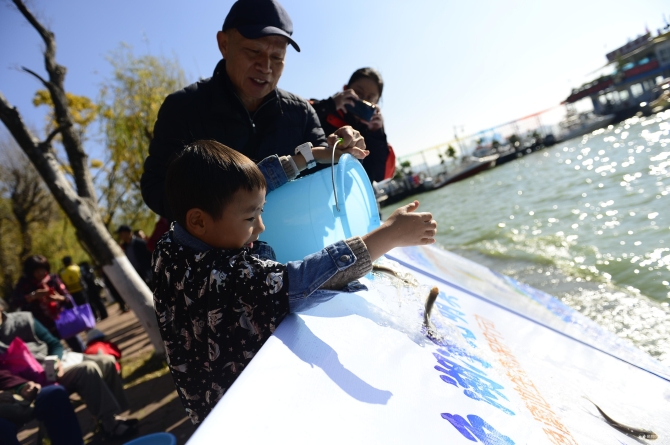 IMG_0949.JPG IMG_0949.JPG