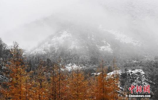 <a target='_blank' href='http://www.chinanews.com/'>中新社</a>记者 杨艳敏 摄 点击进入下一页