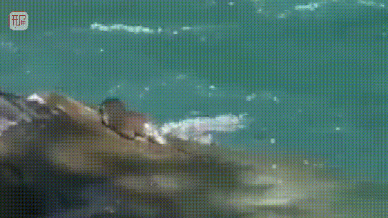 002xu9pGgx07IgXOvidp010412007EM00E010.gif