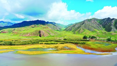 推动绿色发展 促进人与自然和谐共生 推动绿色发展 促进人与自然和谐共生