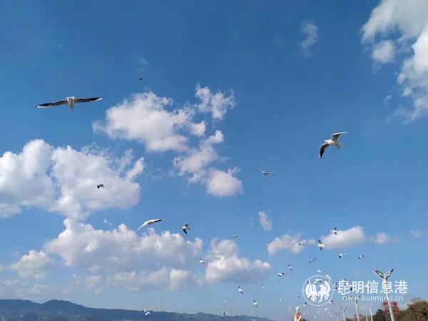 QQ图片201905041918071