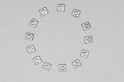 破解大月氏之谜——中乌联合考古的新进展 破解大月氏之谜——中乌联合考古的新进展