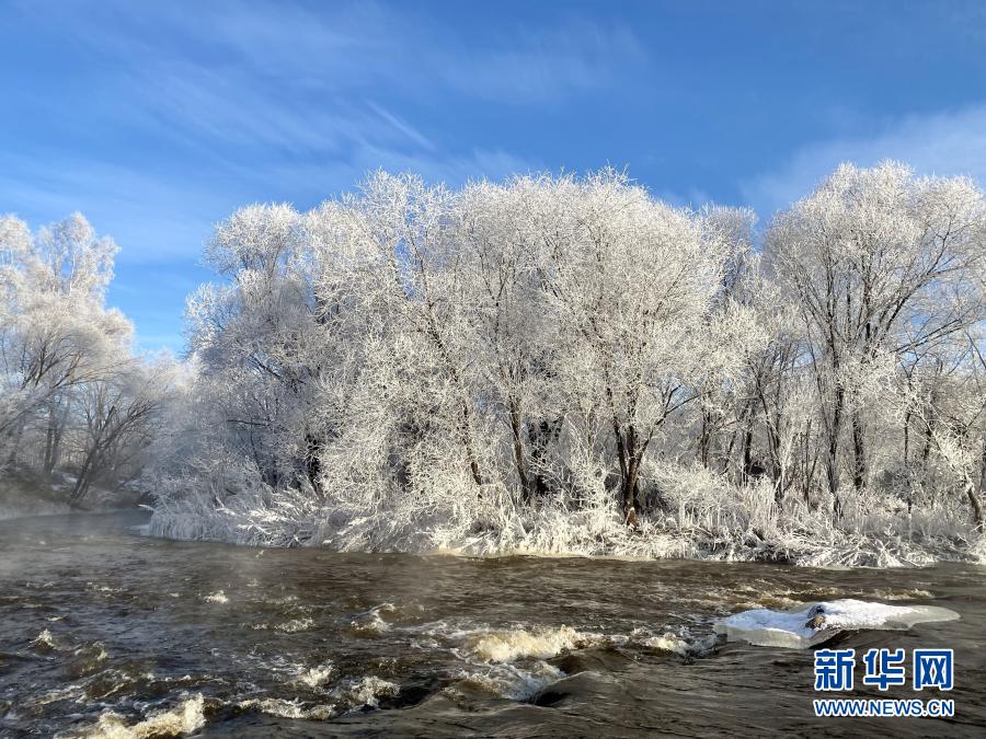 黑龙江省黑河市逊克县的雾凇景观（11月30日摄）。新华社记者刘赫垚 摄1