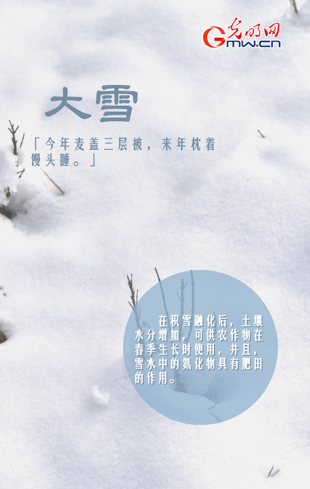 【海报】大雪节气的N种打开方式