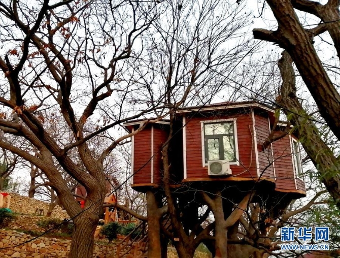 山东蒙阴县桃墟镇安康村的树上木屋(12月5日手机拍摄)。新华社记者 杨文 摄 山东蒙阴县桃墟镇安康村的树上木屋(12月5日手机拍摄)。新华社记者 杨文 摄