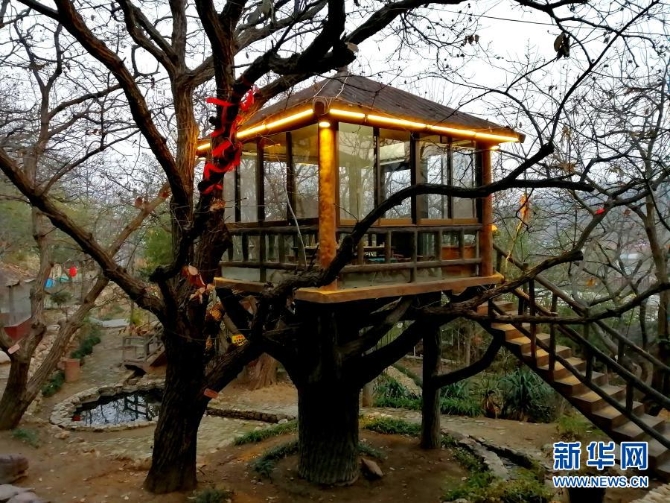 山东蒙阴县桃墟镇安康村的树上木屋(12月5日手机拍摄)。新华社记者 杨文 摄1 山东蒙阴县桃墟镇安康村的树上木屋(12月5日手机拍摄)。新华社记者 杨文 摄1