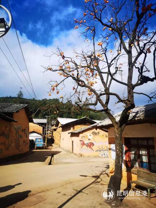 静卧在蓝天白云之下的质朴村庄