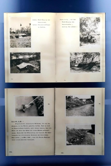 我们为什么不能忘记?