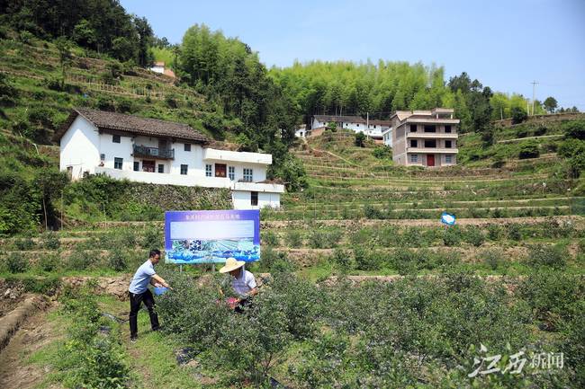 【中国的脱贫智慧】深山蝶变
