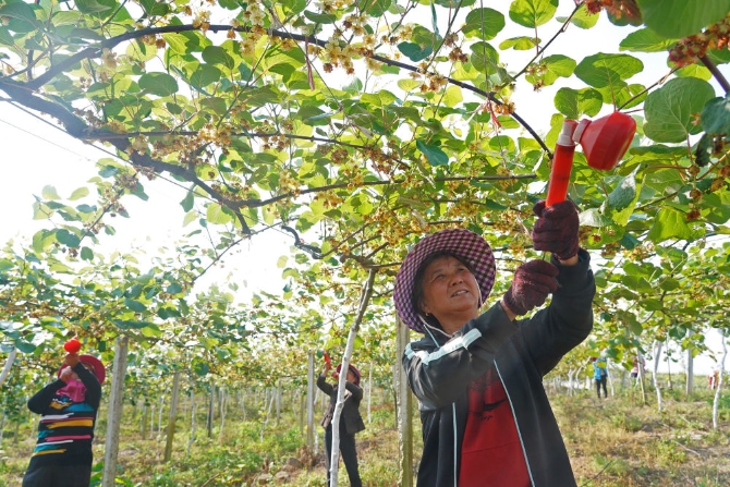 XxjinmC007011_20201218_CBMFN0A002 XxjinmC007011_20201218_CBMFN0A002