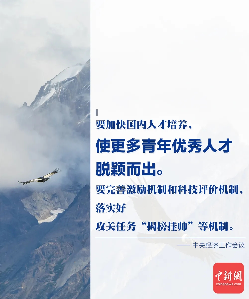4.webp (1).jpg