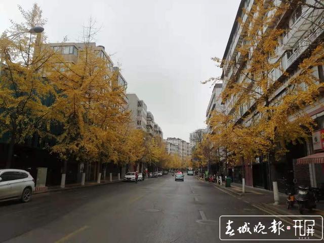 downLoad-20201222220304.jpg