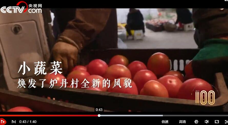图片4