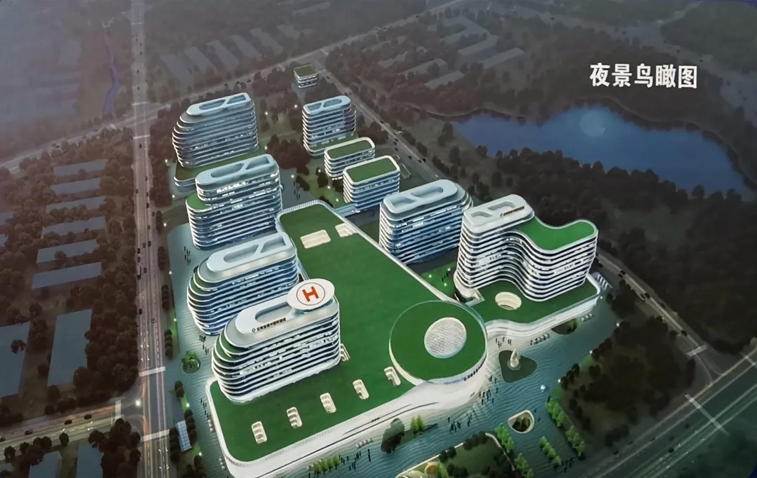 项目效果图.webp