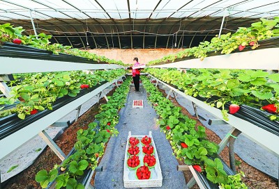 我们持续奋斗,创造人类减贫史上的奇迹 我们持续奋斗,创造人类减贫史上的奇迹