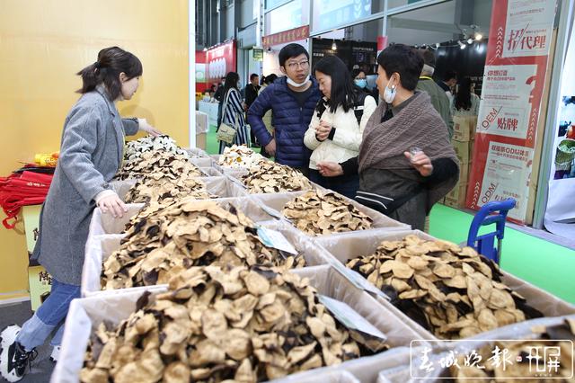 2020昆明茶博会开幕 记者：高伟 摄