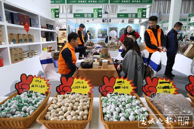 2020昆明茶博会开幕 记者：高伟 摄