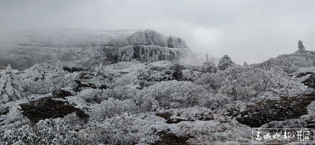 5G加速融入社会(受访者供图)