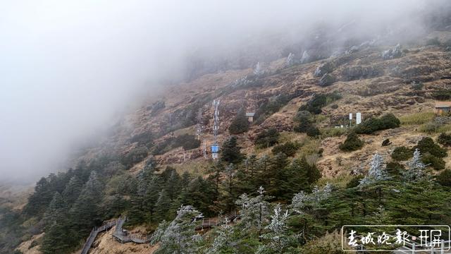 5G加速融入社会(受访者供图)