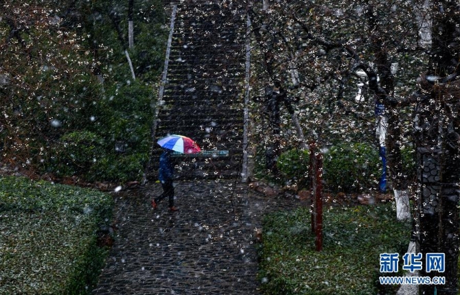 12月29日,在安徽省合肥市,游客冒雪游览包公园。当日,入冬最强寒潮来袭,多地迎来今冬最寒冷天气。新华社记者 韩旭摄 12月29日,在安徽省合肥市,游客冒雪游览包公园。当日,入冬最强寒潮来袭,多地迎来今冬最寒冷天气。新华社记者 韩旭摄