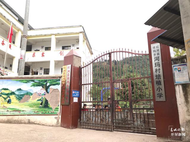 【大山里的老师】她的宿舍门口,总是放着山花野(春城晚报-开屏新闻记者 李春丽 摄影报道)