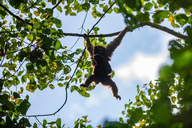 20210105161035X3NDC3n 20210105161035X3NDC3n