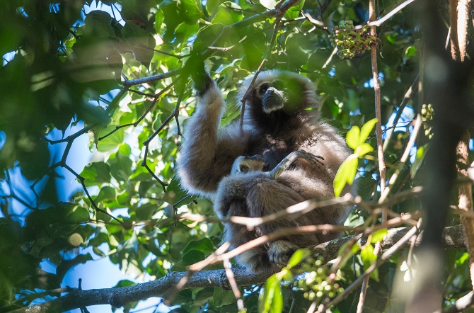 20210105161035M3DV1Ln 20210105161035M3DV1Ln